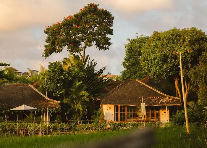 Magia De Uma, A Member Of Design Canggu